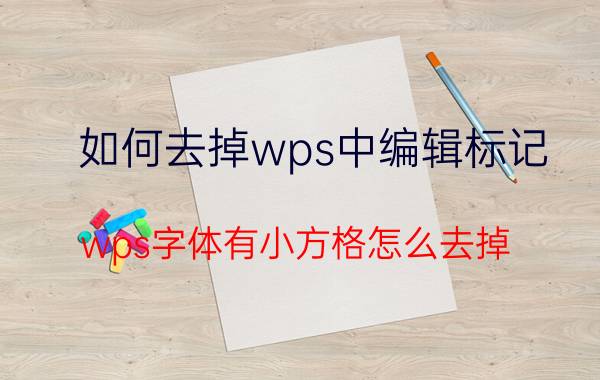 如何去掉wps中编辑标记 wps字体有小方格怎么去掉？